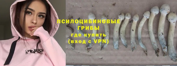 гидропоника Балабаново