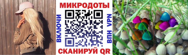 Псилоцибиновые грибы MAGIC MUSHROOMS  где продают   Белово 
